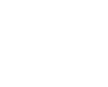Fidelity