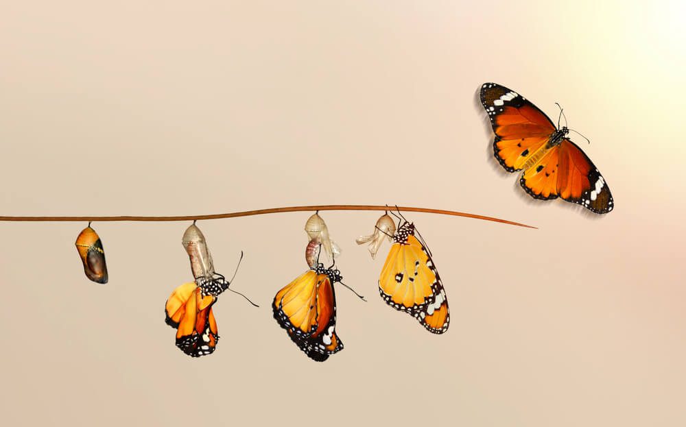 Guide to nurturing talent during workforce transformation